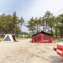 장항오토캠핑장 이미지