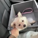제이앤씨파트너스
