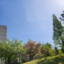 늘푸른충전소 이미지