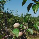 새순2농장 이미지