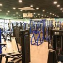 바디타임즈 이미지