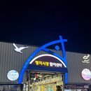 오륙도활어