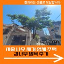 감 | 서울 나무 제거 업체 주택 감나무 벌목 후기