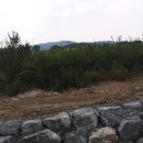 성상1리 이미지