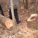 서삼농장 이미지