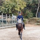 유천승마장 이미지