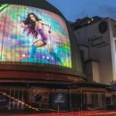 토론토 캣 이미지