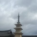 백수한의원 | 경주 대추밭백한의원 한약 복용 솔직 후기(명현현상)/한방차 후기/불국사 방문