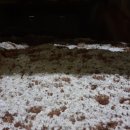 동송농장 이미지