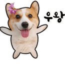 지오살롱