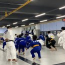 미르 주짓수 유도관 이미지