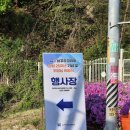 하꾸주코리아 이미지