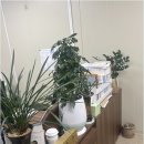 세무사이정우사무소