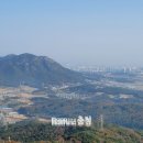 용봉산권역 굿모닝충청