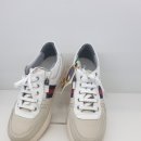 슈올즈 괴정점 이미지