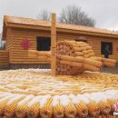 헨젤과 그레텔 이미지