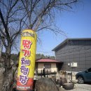 경영농장 | 청주 딸기 농장 추천! &#39;진희네딸기&#39;에서 신선한 딸기 맛보고 즐긴 체험후기