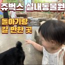 서창남순환로216번길1L | 인천 아이와 실내 가볼만한 곳 돌아기랑 다녀온 쥬벅스 방문 후기 (팁 총정리!)🐰