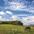 황금호텔 이미지