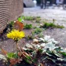 파리바게트 앞 이미지