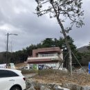 태학산자연휴양림 P2주차장 | 천안 태학산 자연휴양림 오토캠핑장 방문후기