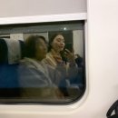 제우스 메디 | 2025년, 5월과 6월