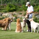 두아름농장 이미지