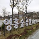 영흥체육관 | 영통 주민들의 힐링 성지! 영흥숲공원 &amp; 영흥체육관 가을 산책 후기