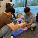 경인동물의료센터 이미지