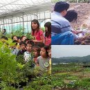 내곡동459 이미지