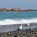 경주우체국-1 이미지