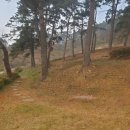 무지개농장 이미지