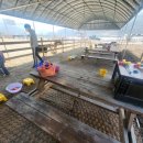 말순농장 이미지