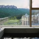 소노펠리체 델피노 이미지