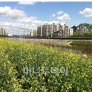 도봉구청직장어린이집 이미지