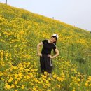 댄스스포츠(야간) 이미지