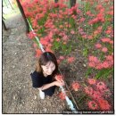 용하공원로 이미지