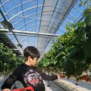 원뜰농장 이미지