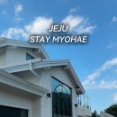 스테이묘해 이미지