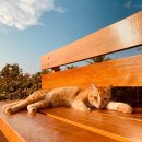 조형벤치(집) 이미지