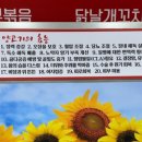 동안로 이미지