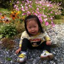 세은농장 이미지