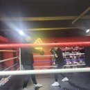 홍수환EJ복싱체육관 | 강남 복싱 다이어트 복싱장 ;) 홍수환스타복싱체육관 후기 두번째
