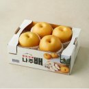 다복 쇼핑하우