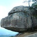 수안재스마트