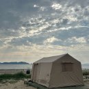 숲속노을로(2) | [태안 노을숲캠핑장 오션뷰 데크 후기]바다 바로 앞 캠핑장 추천🏕️
