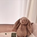 남산동물병원 | [임신일기] #27-29주 초앤유 임당재검, 대부도 여행, 친구들과 서울데이트