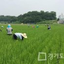 시흥시생명농업기술센터 이미지