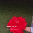 우아한 몸짓, 한국무용 | 한국무용 소품용 하늘거리는 레드 패브릭 플라워 공연 빨간 꽃