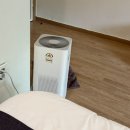 덴 바스타 | 부산 마운틴뷰 숙소 - 만덕 덴 바스타 호텔 포레스트 힐링후기